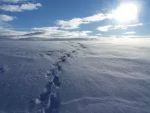 Wspomnienia z Erasmusa w Tromsø