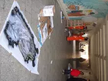 Warsztaty muralu z Iwoną Zając (2010)