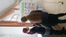 Вернадские чтения 2018
