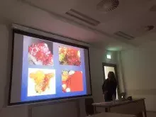 Dni słowiańskiego piśmiennictwa i kultury na Wydziale Filologicznym