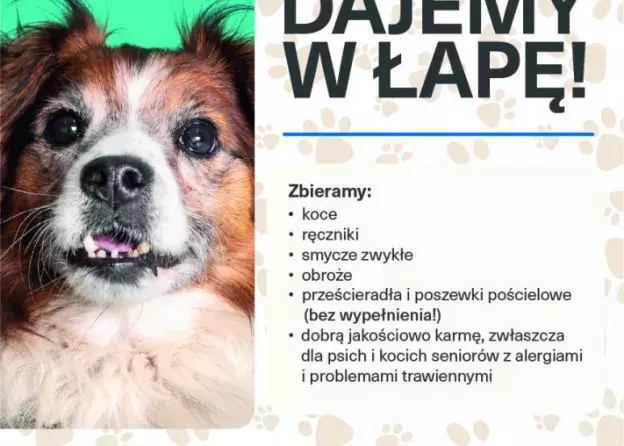 Zbiórka darów na rzecz schroniska dla zwierząt na Filologicznym