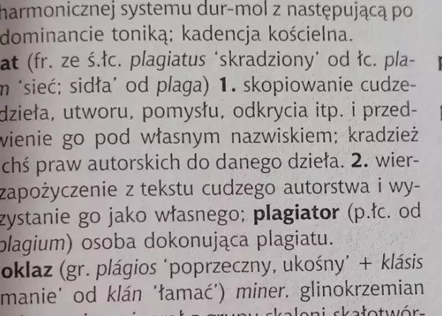 Konsekwencje dyscyplinarne i karnoprawne dopuszczenia się plagiatu