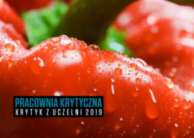 Pracownia Krytyczna: trzecia edycja konkursu „Krytyk z uczelni”