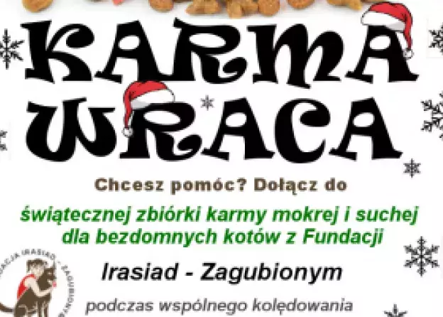 Karma wraca. Zbiórka karmy dla kotów 19 grudnia podczas kolędowania