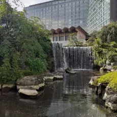 Japanischer Garten