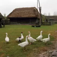 Odtworzone zabudowania młynarza.
