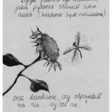 Agnieszka Plotta - szkice