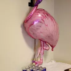 19