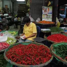 Student Field Research Thailand 2016